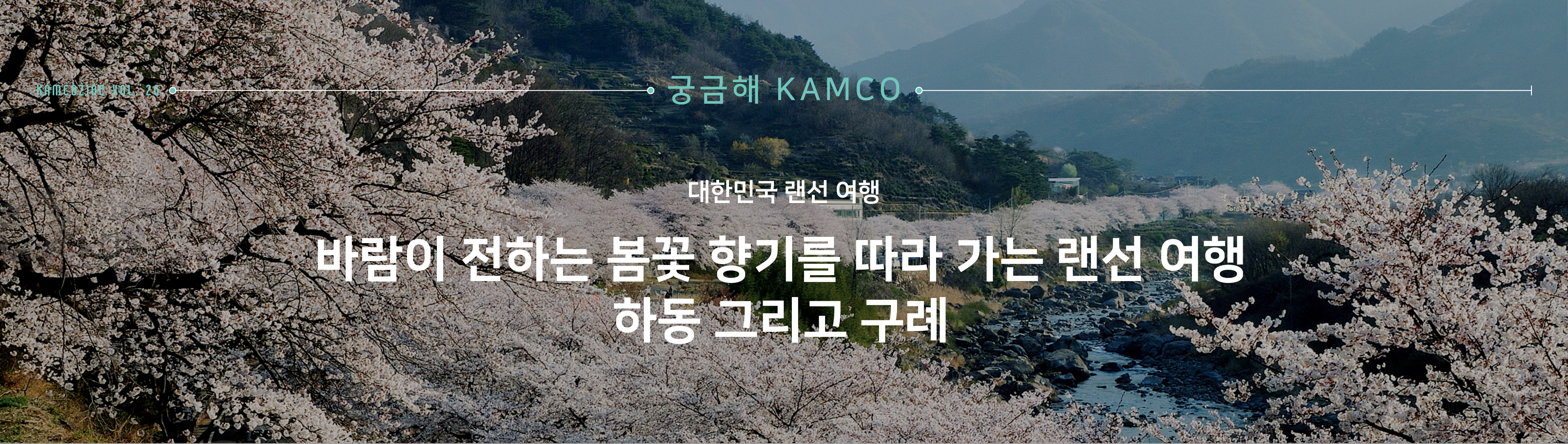 궁금해 캠코